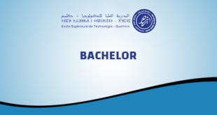 bachelor